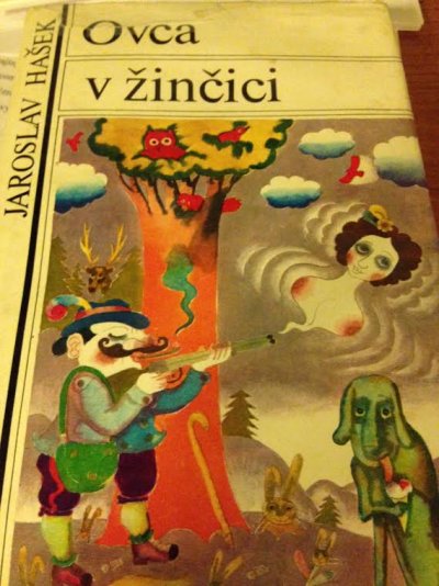 Ovca v žinčici