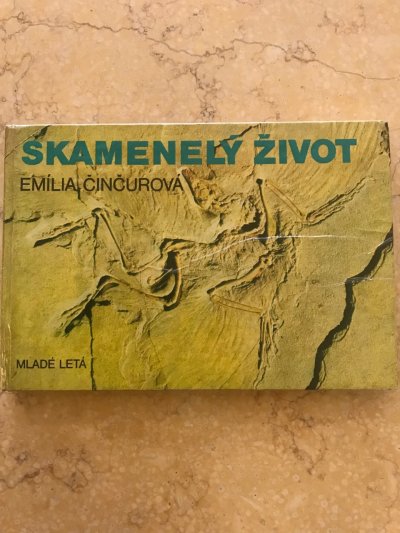 Skamenelý život