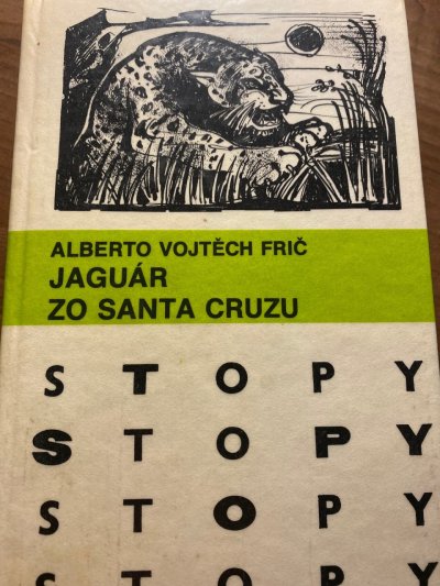 Jaguár zo Santa Cruzu