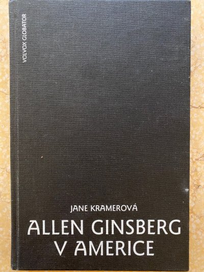 Allen Ginzberg v Americe