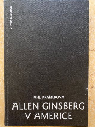 Allen Ginzberg v Americe
