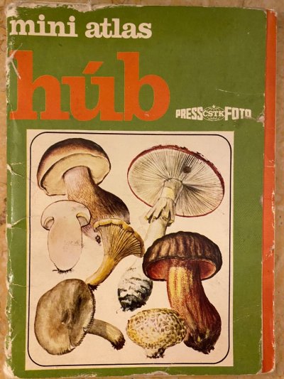 Mini atlas húb