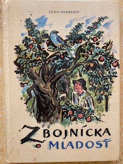 Zbojnícka mladosť