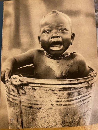 Aj nosorožce patria ľudstvu - Boj o africkú zver