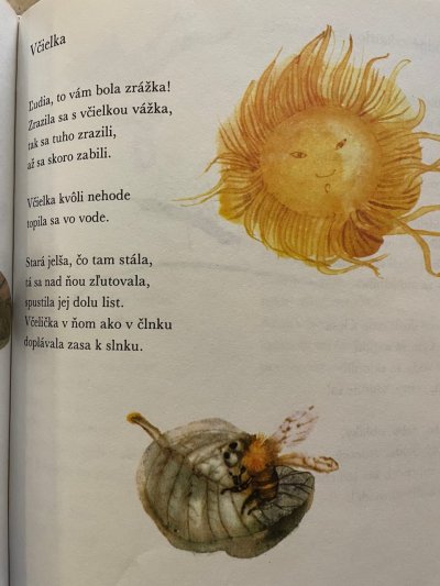 Čarokruh