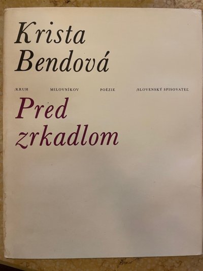 Pred zrkadlom