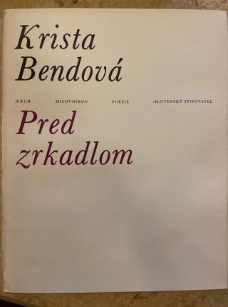 Pred zrkadlom