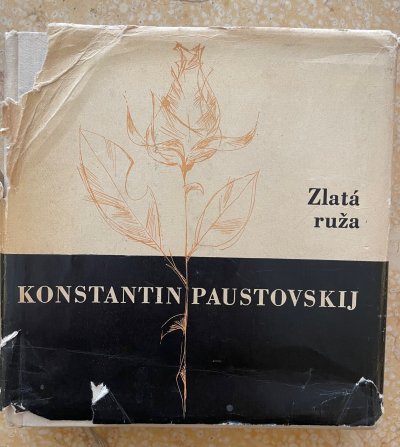 Zlatá ruža