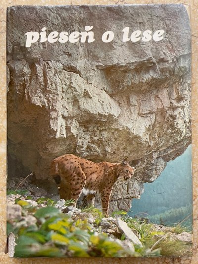 Pieseň o lese