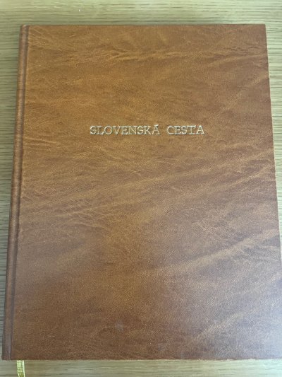 Slovenská cesta
