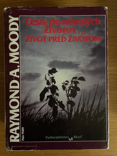 Cesty do minulých životov...Život pred životom