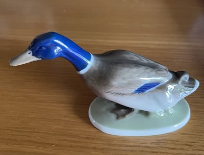 Kačka - Rosenthal