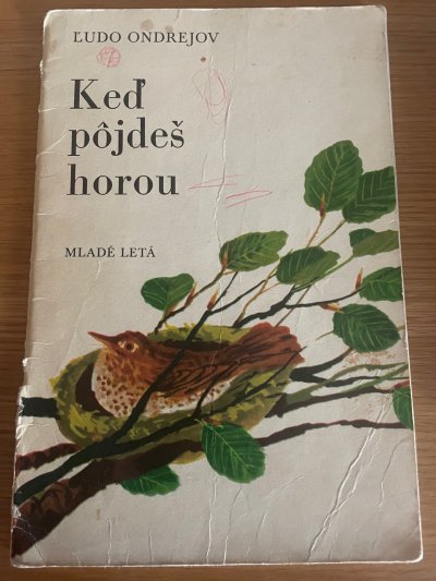 Keď pôjdeš horou