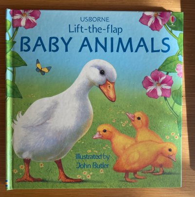 Lift the Flap Baby Animals