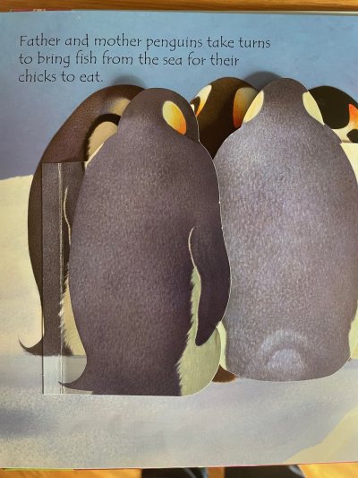 Lift the Flap Baby Animals