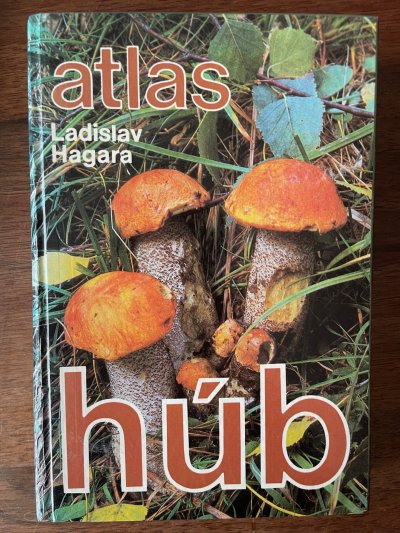 Atlas húb
