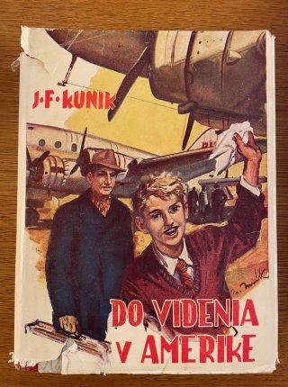 Do videnia v Amerike