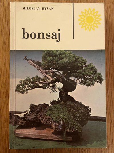 Bonsaj