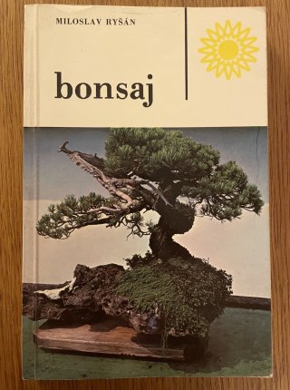 Bonsaj